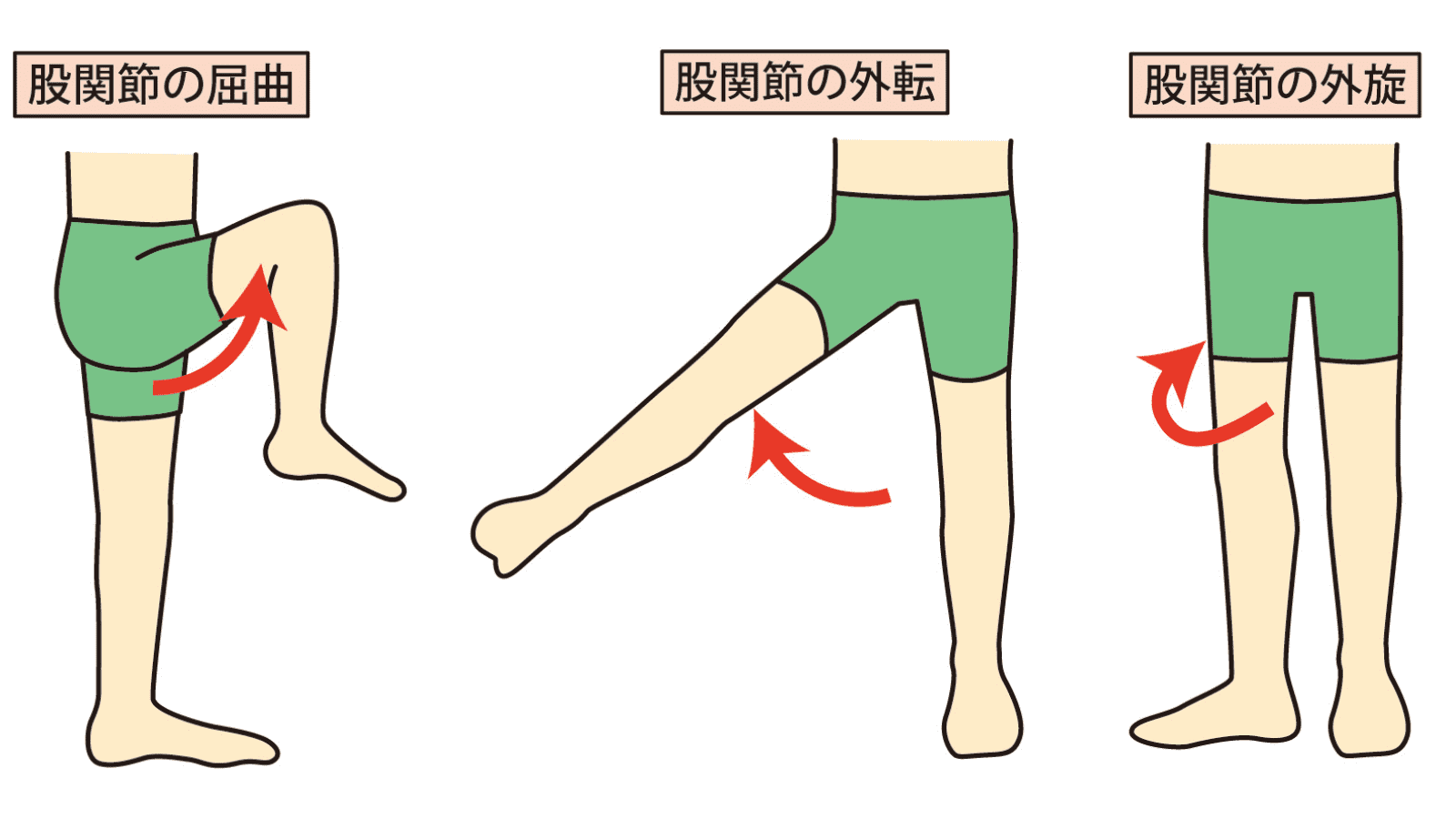 エメリー・ドレフュス型筋ジストロフィー