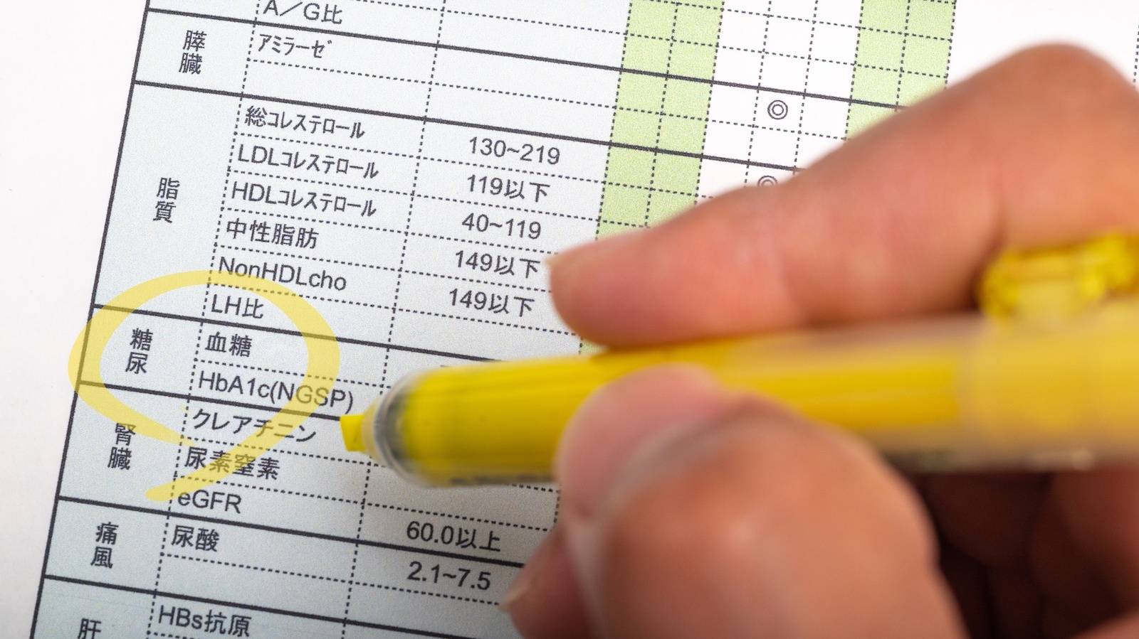 貧血のさらなる検査