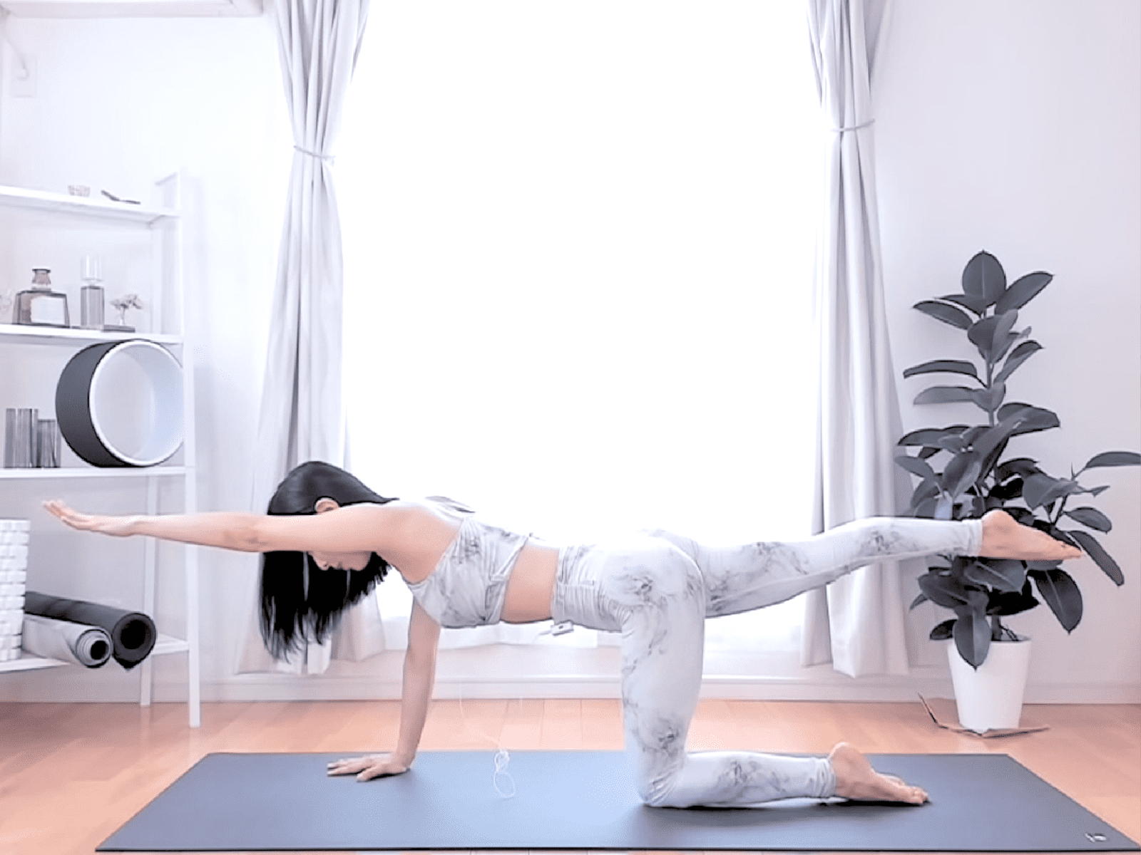 猫のバランスのポーズ