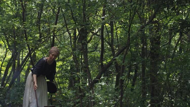 心穏やかにいれる場所をお裾分け。1日1組限定の宿「森のスープ屋の夜 お手当てのための宿」の魅力