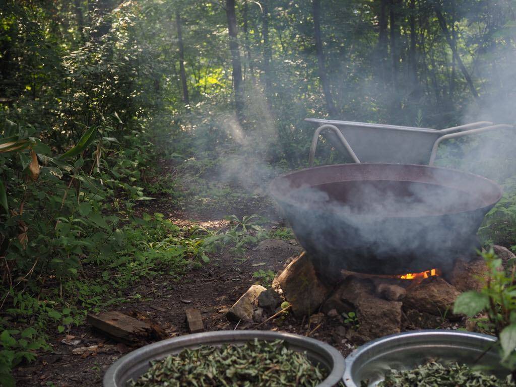 森のスープ屋の夜 1日1組お手当ての宿