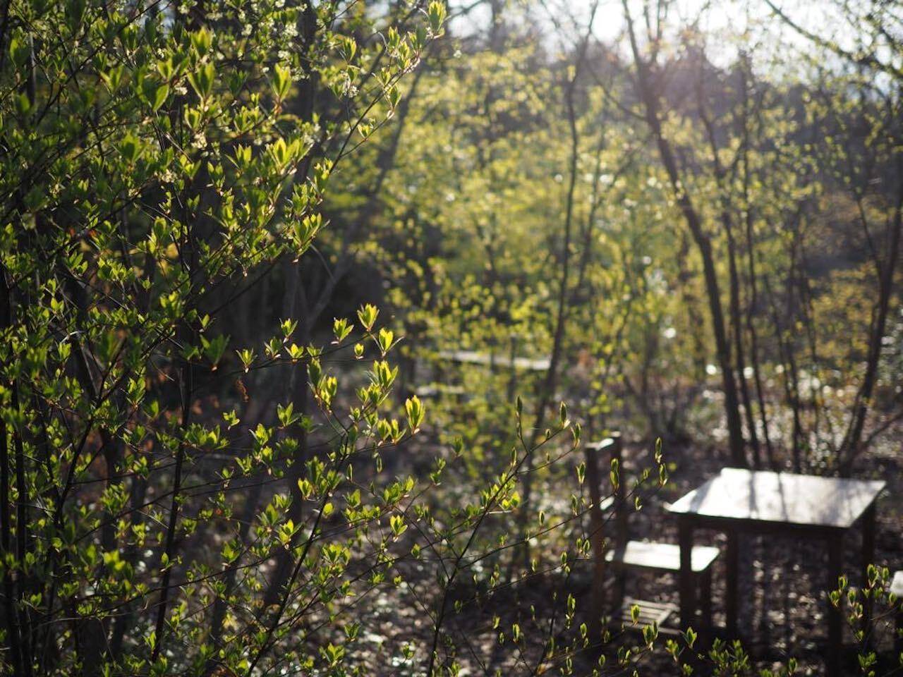 森のスープ屋の夜 1日1組お手当ての宿