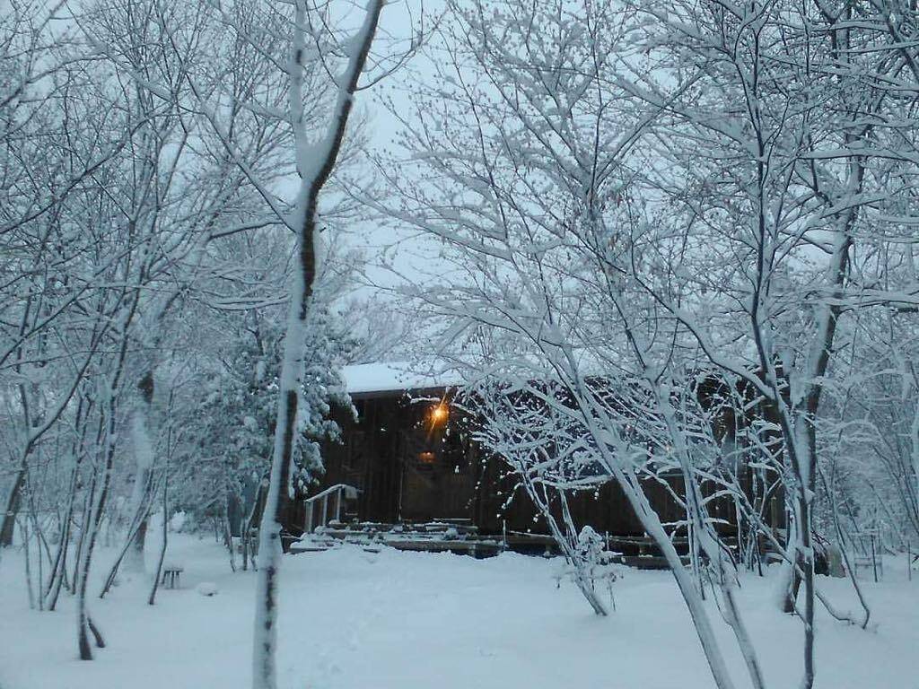 森のスープ屋の夜 1日1組お手当ての宿