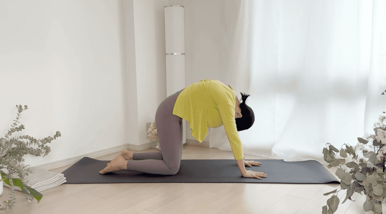 猫と牛のポーズ