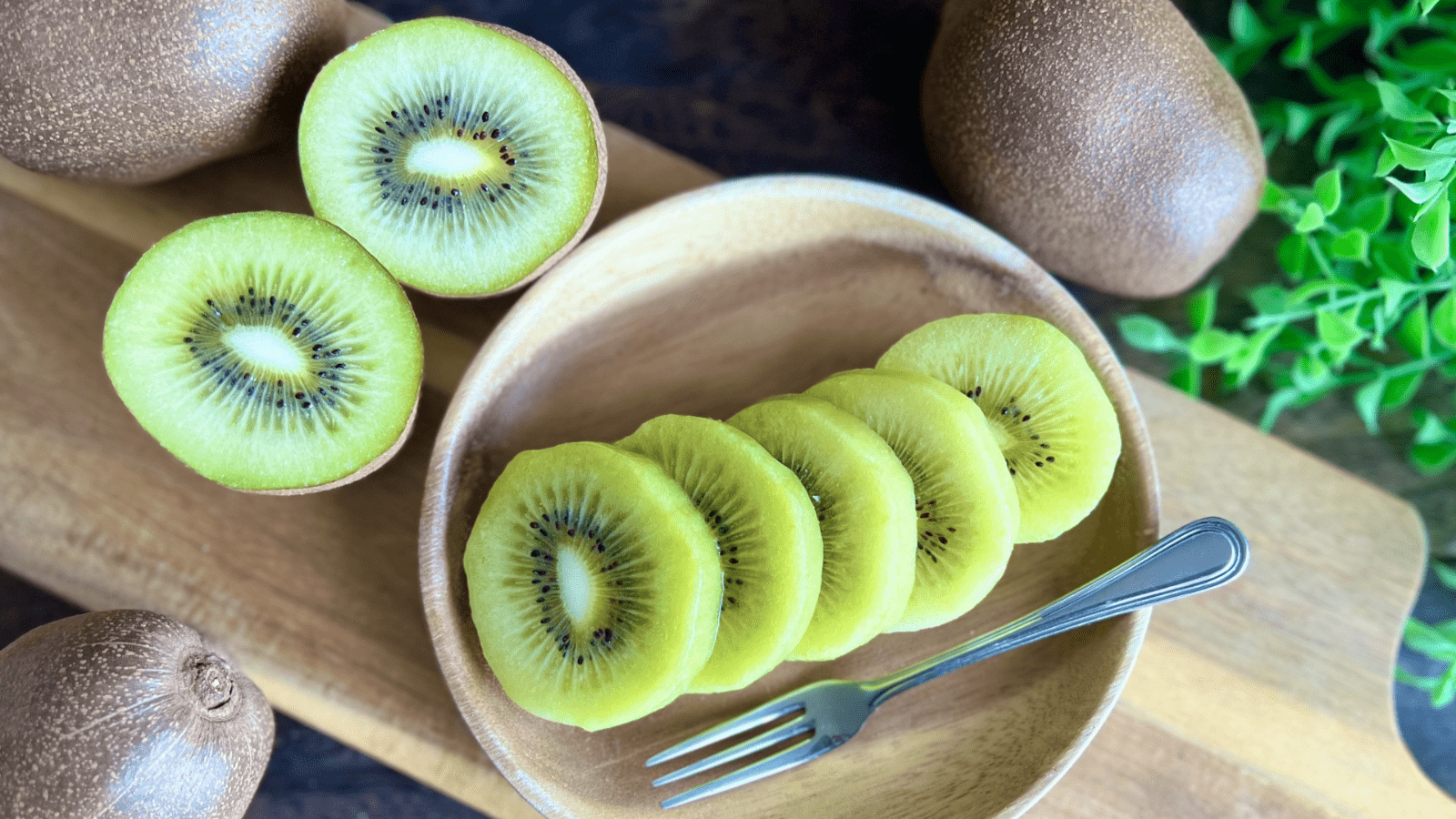 お皿に乗った輪切りのキウイ