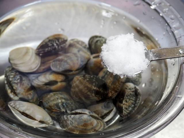 あさり　砂抜き