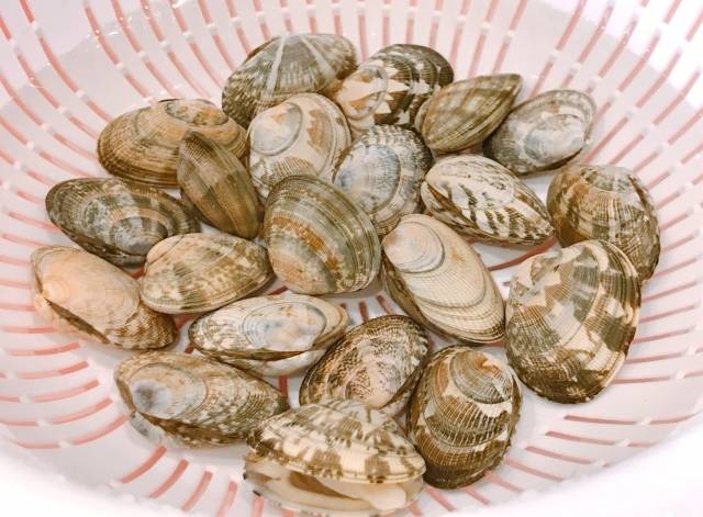 あさり　砂抜き