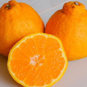 1日に必要なビタミンCの8割が摂れる【デコポン】甘さを皮で見分ける選び方と、保存や活用のポイント