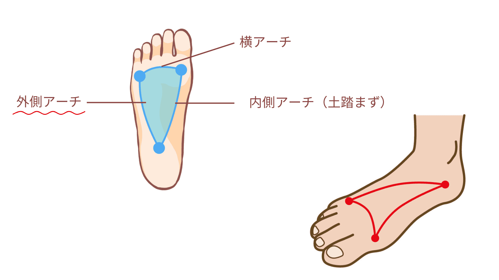 足裏