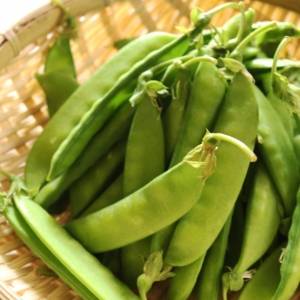 「彩りで買った絹さやが余ってしまった…」余った絹さやをおいしく食べきる方法｜管理栄養士が伝授