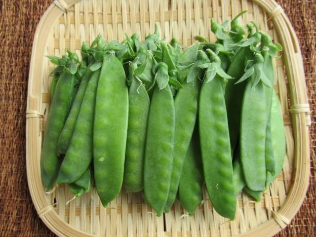 絹さやのイメージ