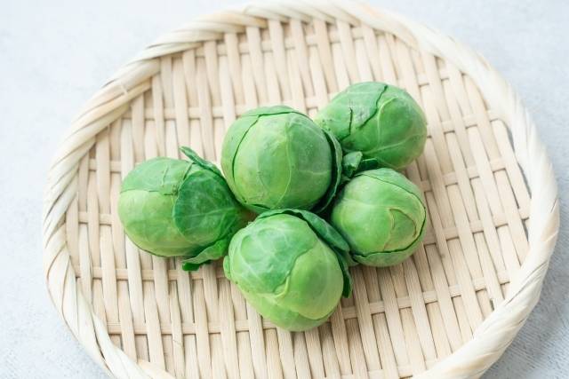 芽キャベツのイメージ