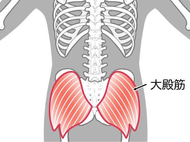 大臀筋