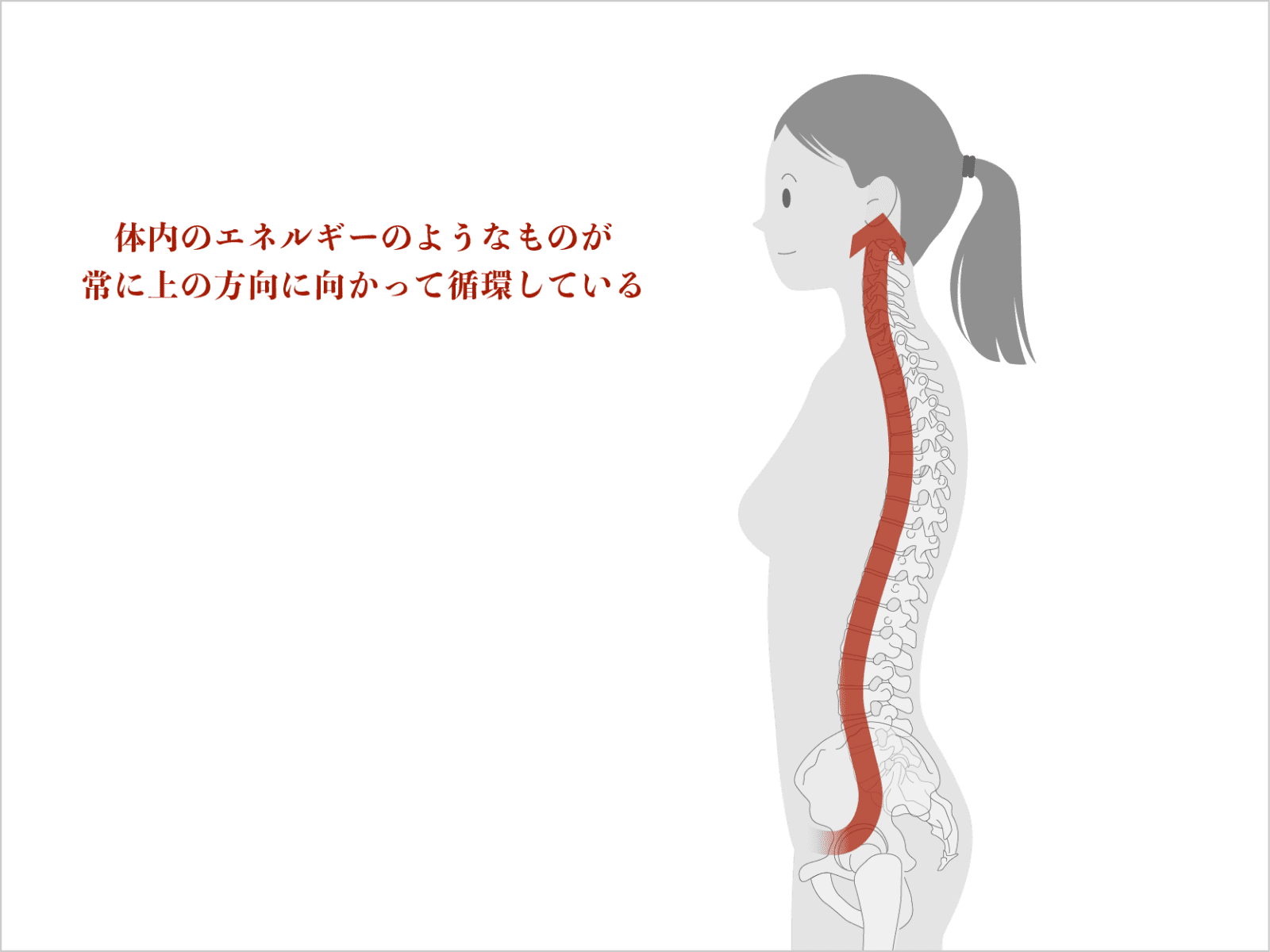 「脊椎は頭の方向に向かって伸びている」と思いながら階段を降りる
