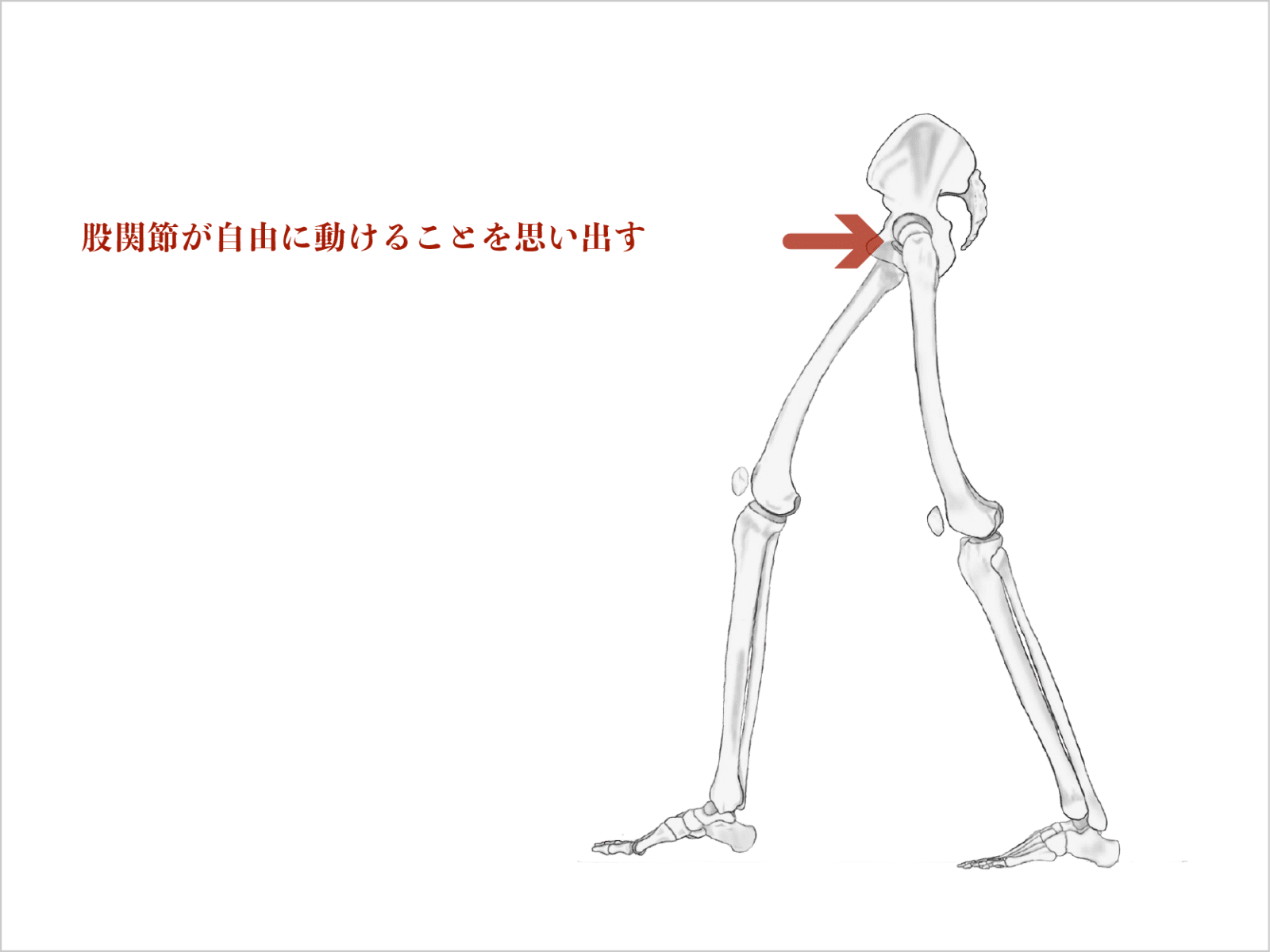 「股関節も自由に動ける」と思う