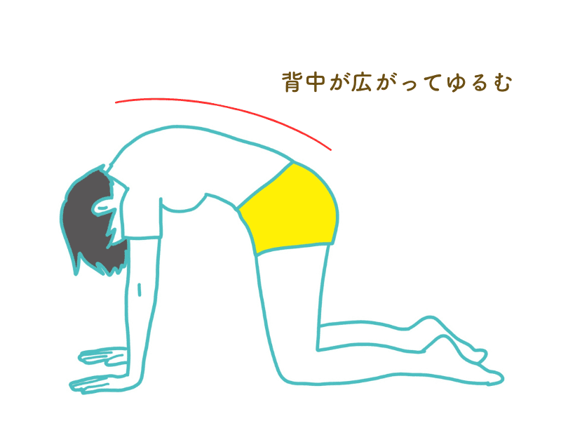 キャット＆カウ