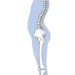 反り腰の原因は脚にある?!【反り腰チェック付】改善エクササイズ