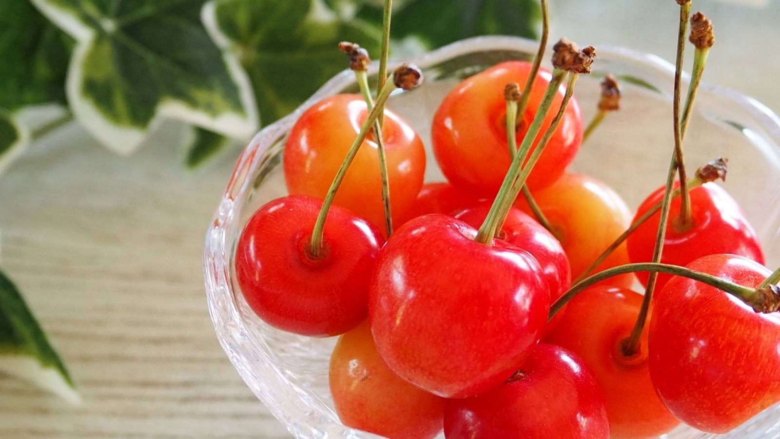 寝つきが悪い人必見！「さくらんぼ」に含まれる“眠りホルモン”が快眠を後押し、効果的な食べ方は？