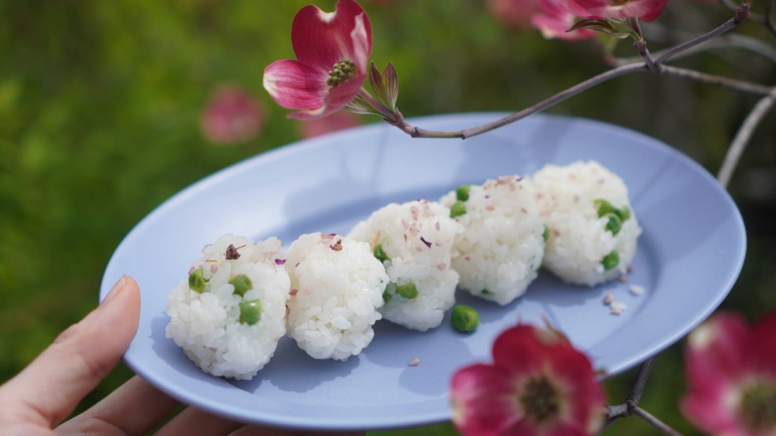 冷凍グリーンピースで！元気な体つくりにタンパク質豊富！グリーンピースの彩りおむすび