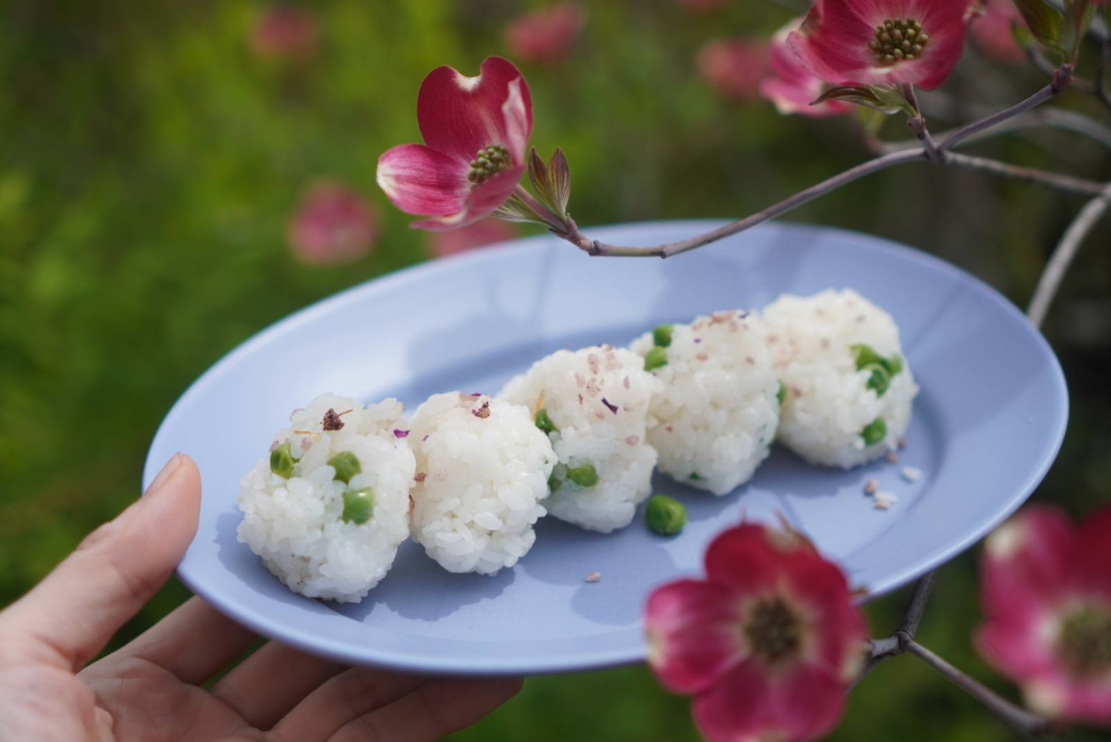 YOKO/冷凍グリーンピースのおむすび