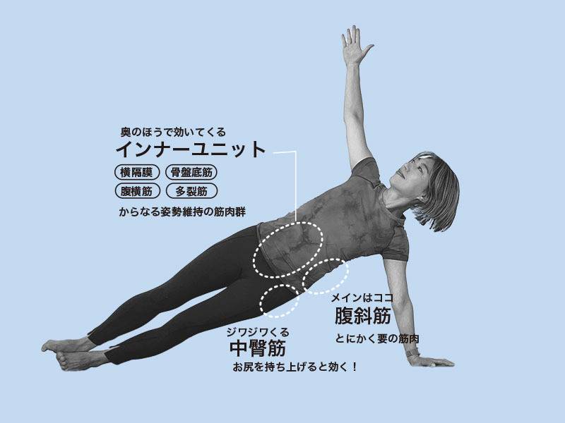 このポーズがアプローチするパーツはここ