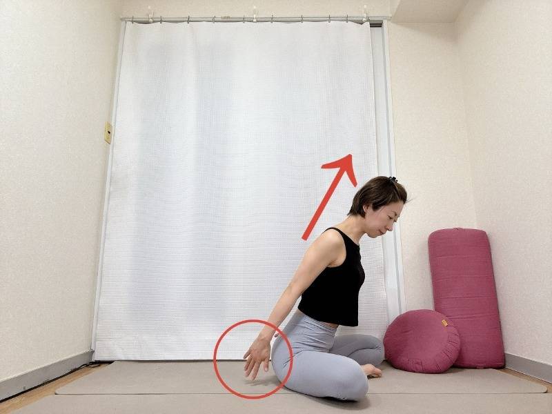 あぐらから上体を前に傾け、両腕を後ろ斜め下に伸ばした体勢