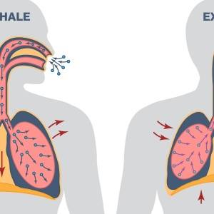 横隔膜をしなやかに保つとさまざまな不調が改善する｜自律神経もスタイルも呼吸で整える！横隔膜ケア