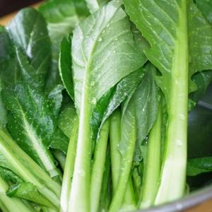 「今まで水にさらしていたわ…」やってはいけない「小松菜」のNGな下処理方法とは？