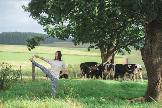 ロケーションヨガ_牧場