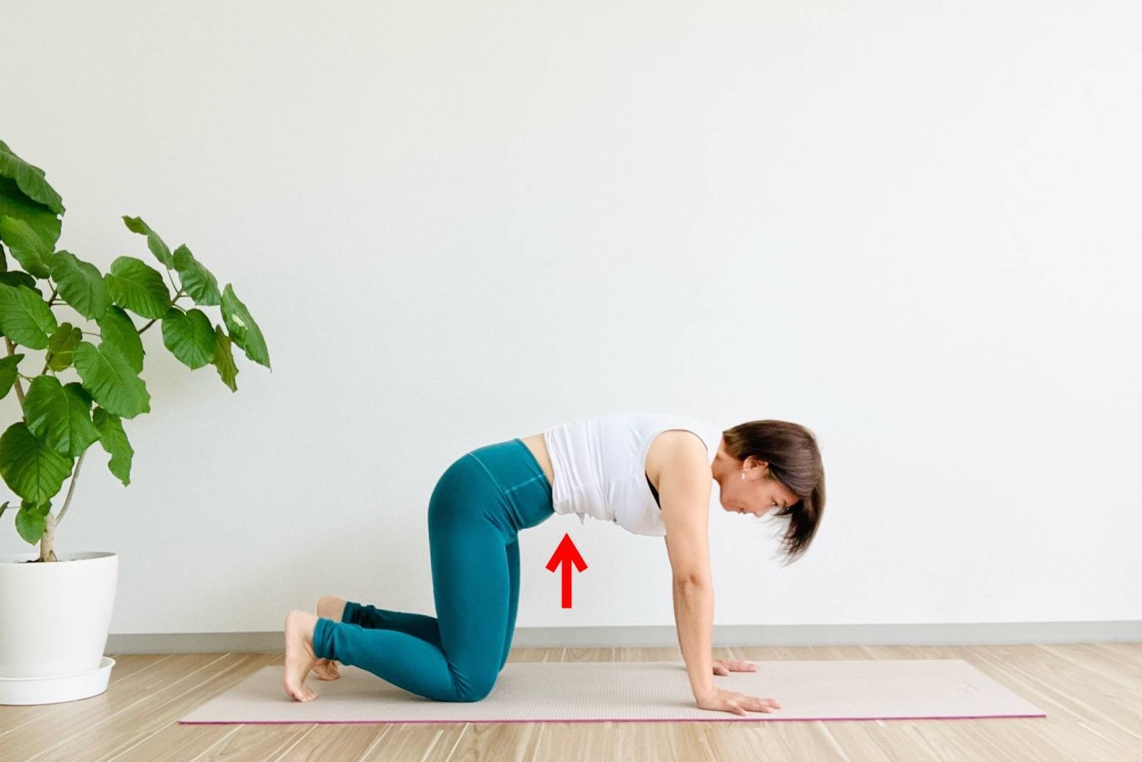 お腹凹ませ体操