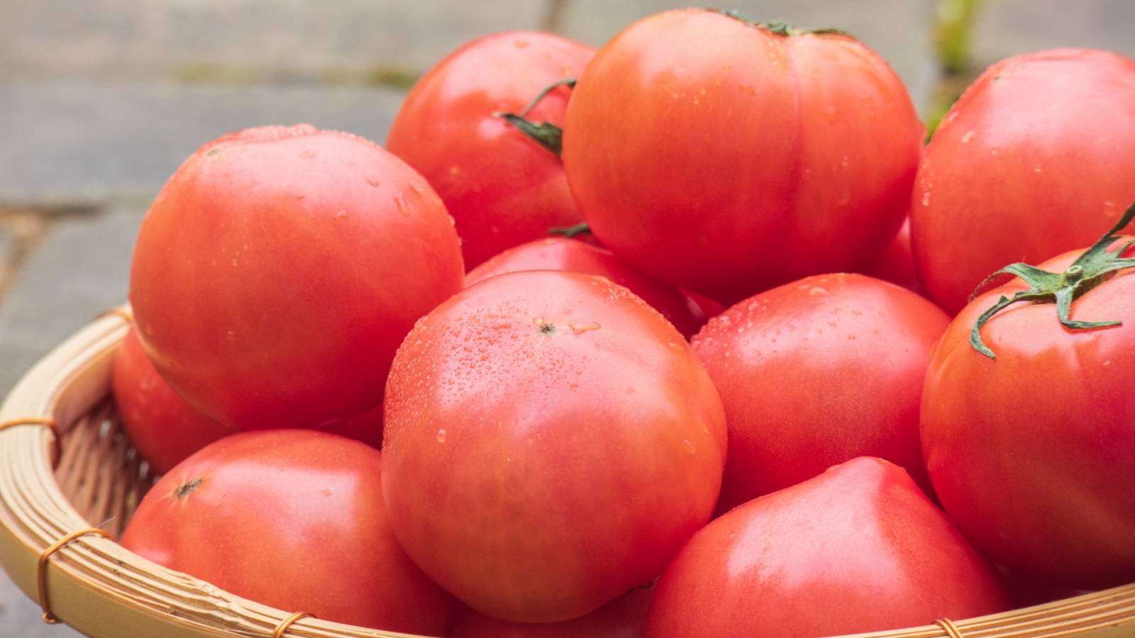 トマトのイメージ