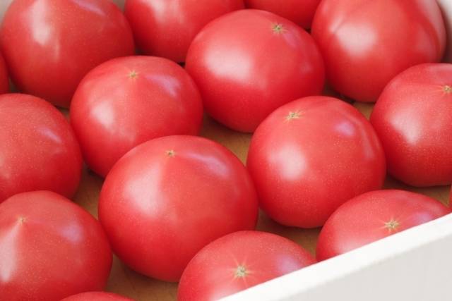 トマトのイメージ