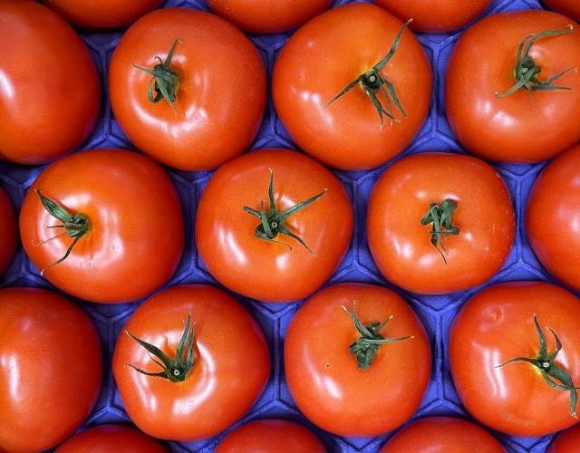 トマトのイメージ