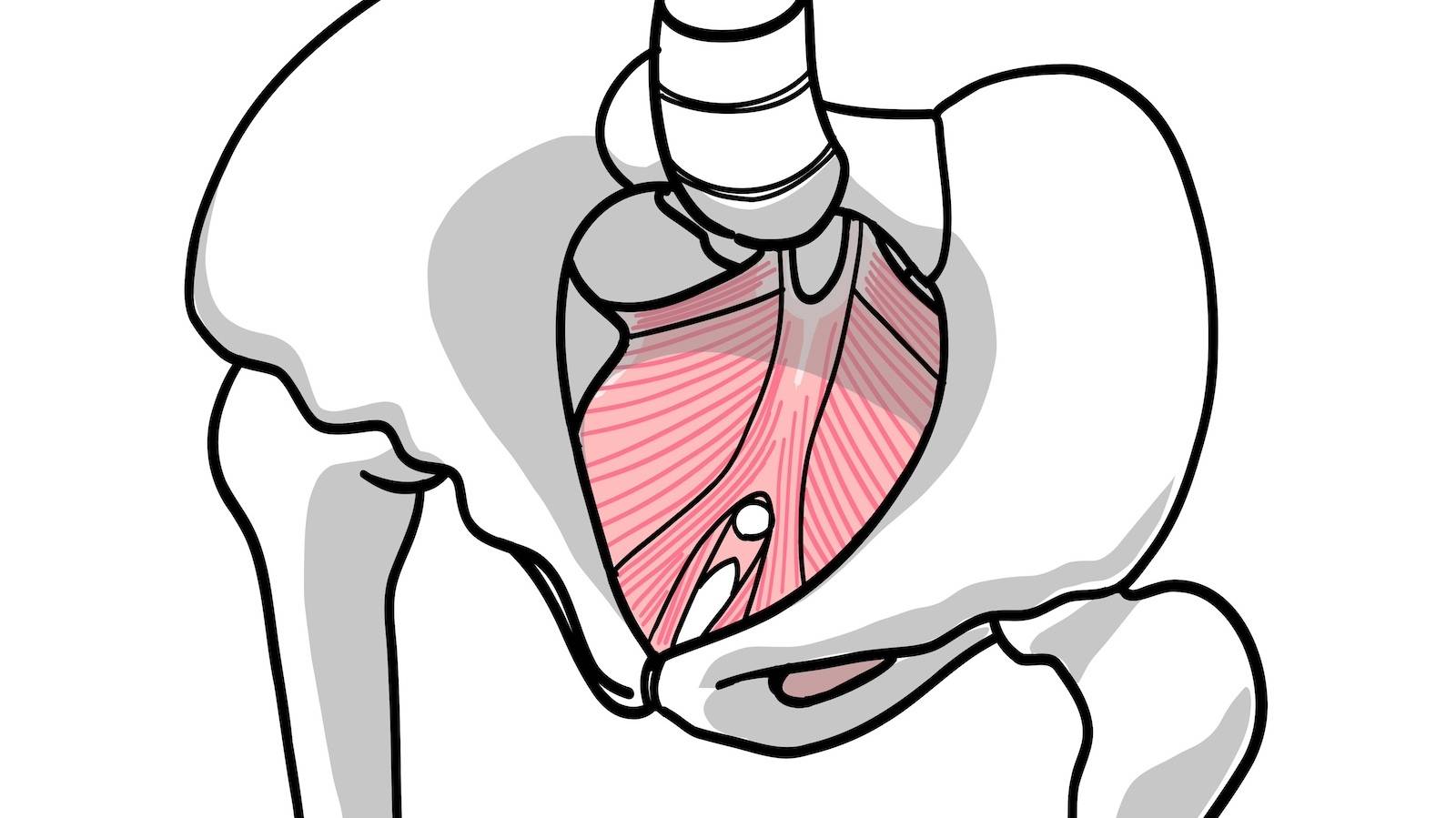 その不調、もしかして“骨盤底筋”のサイン？知っておきたい基礎知識と自宅エクササイズ
