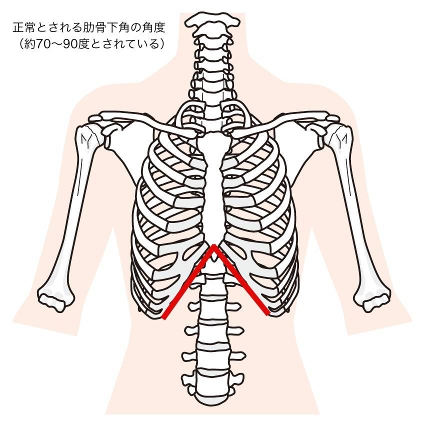 肋骨下角角度
