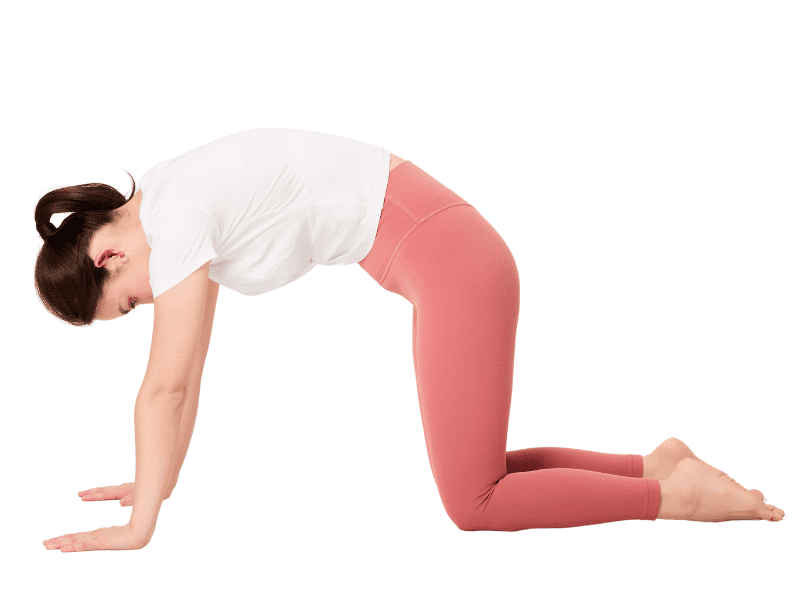 ほぐす・伸ばす・鍛えるで引き締める「美筋ヨガ」