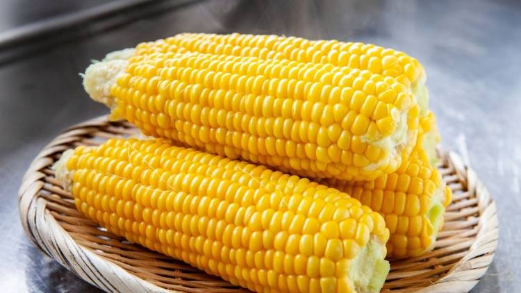 「ふっくら柔らか」「プチっと弾ける」食感別【とうもろこし】の美味しい茹で方｜管理栄養士が解説