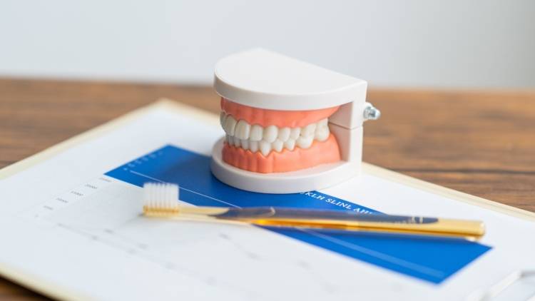 〈50代で歯を失う人が増加中？〉親からの遺伝で「歯が悪い」 というのはホント？歯科医が解説