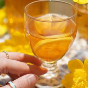 実は“抗酸化の宝庫”!不安をリセットする「レモンルイボスティー」のすすめ