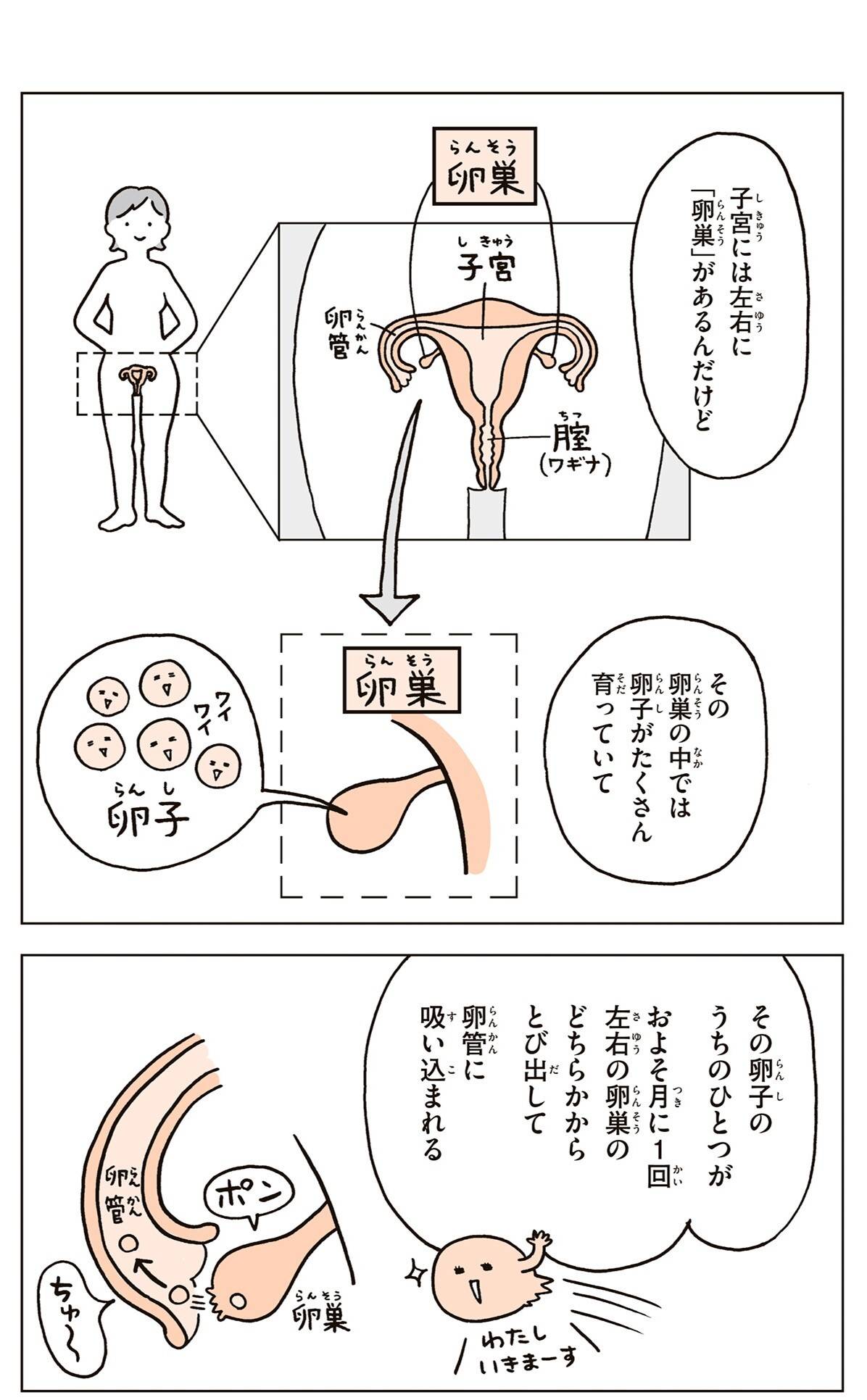 『こどもせいきょういくはじめます』（KADOKAWA）より