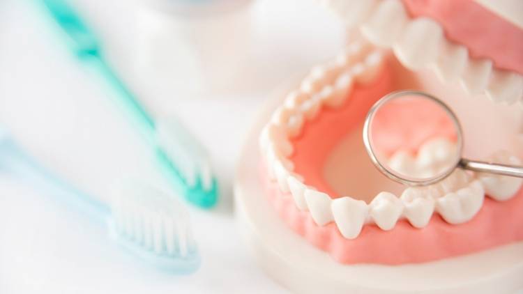 〈病気とお金〉もし、50代で１本歯を失った場合、生涯でかかる金額はいくら？歯科医が解説