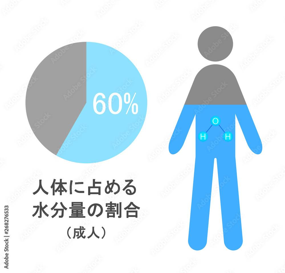 体内水分率