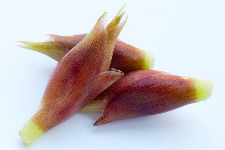 みょうがのイメージ