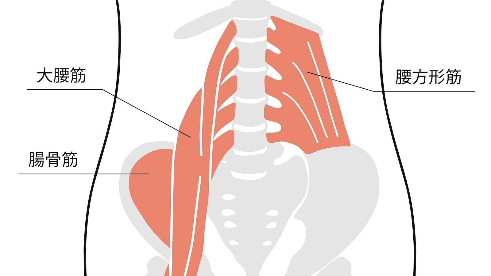 何度も繰り返す腰痛に!ガチガチに硬くなりがちな「腰方形筋」をゆるめる〈寝ながらストレッチ〉