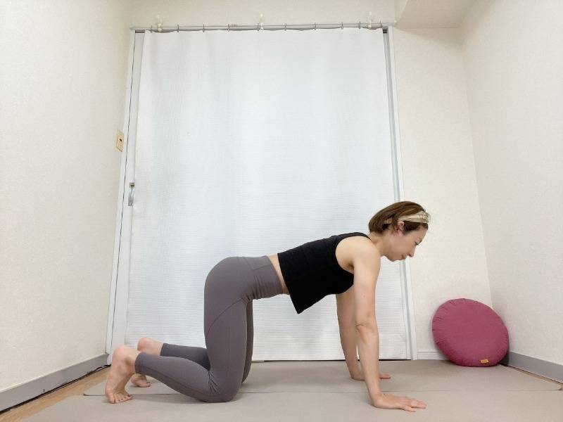 四つ這いの姿勢