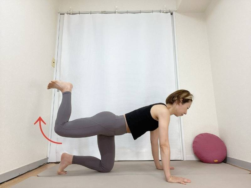 四つ這いから左膝を曲げ、かかとを突き出して太腿が床と並行になるまで脚を持ちあげた体勢