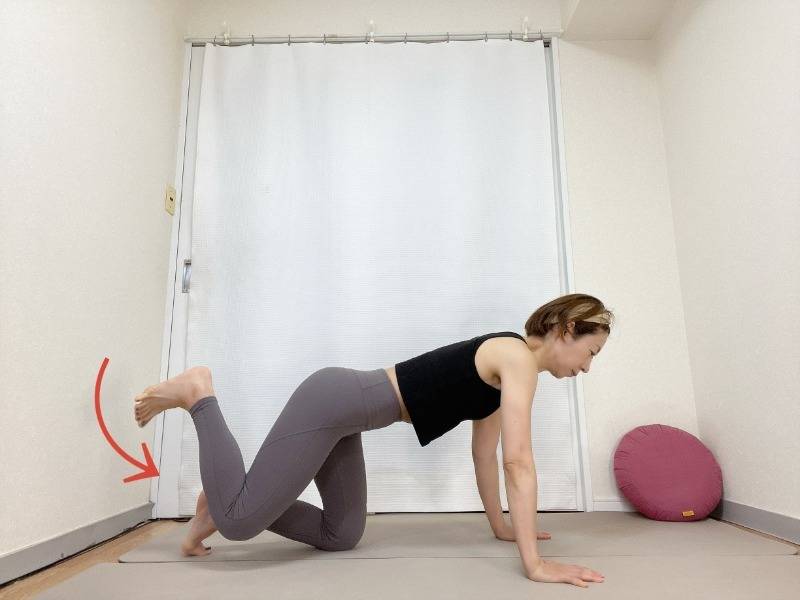 四つ這いから左膝を曲げ、太腿が床と並行になるまで上げてから床すれすれまで下した体勢