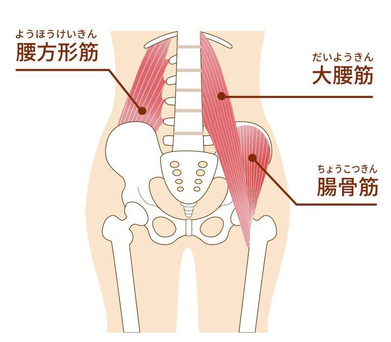 腸腰筋
