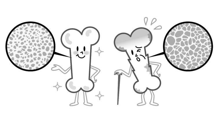 50代以降は絶対気にしたい【骨代謝】｜壁を使って行う「簡単！骨代謝アップエクササイズ」