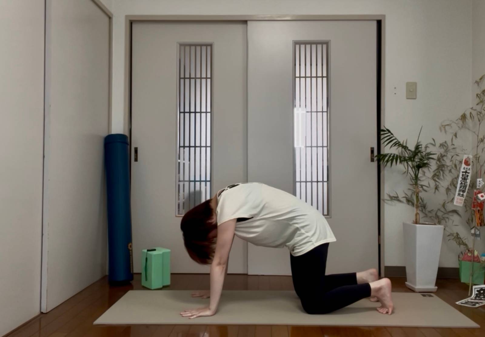 キャットアンドカウ